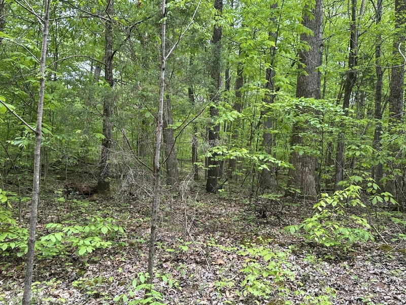 2 Poplar Ridge Rd, Chapmansboro, TN 37035