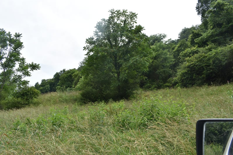 0 Pleasant Shade Hwy Lot 16, Pleasant Shade, TN 37145