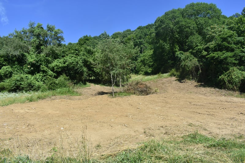 0 Pleasant Shade Hwy Lot 16, Pleasant Shade, TN 37145