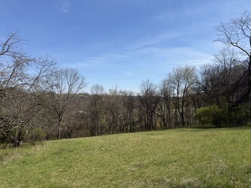 12 Fly Rd Lot 1, Santa Fe, TN 38482