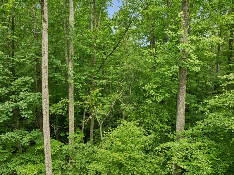 0 Davis Hollow Rd, Franklin, TN 37064