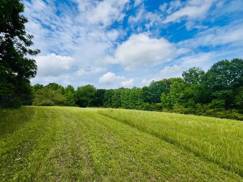 7140 Old Cox Pike, Fairview, TN 37062