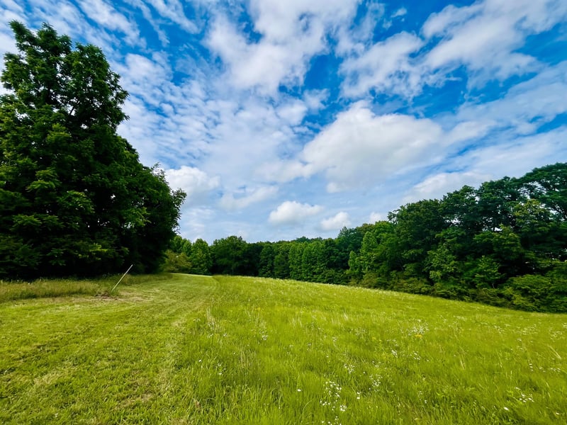 7140 Old Cox Pike, Fairview, TN 37062