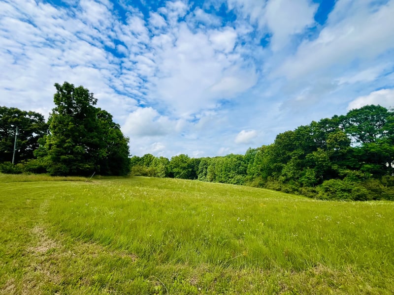 7140 Old Cox Pike, Fairview, TN 37062