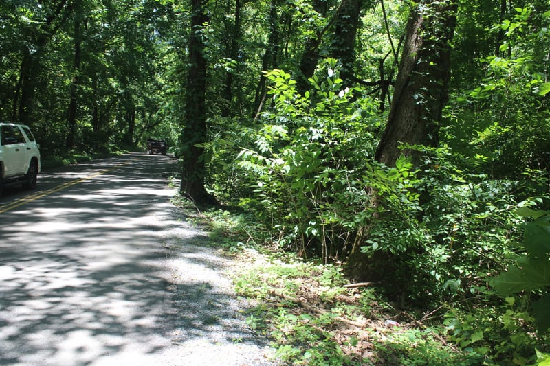 3978 Dry Fork Rd, Whites Creek, TN 37189