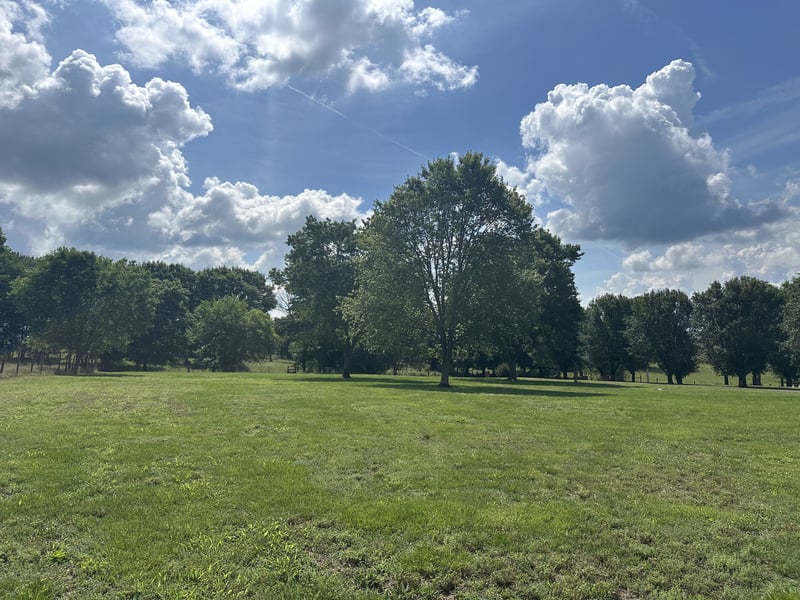238 Zieglers Fort Rd, Gallatin, TN 37066
