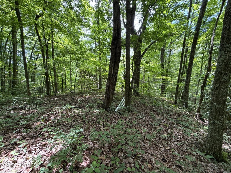 0 Swann Saddle Lot 10, Sevierville, TN 37876