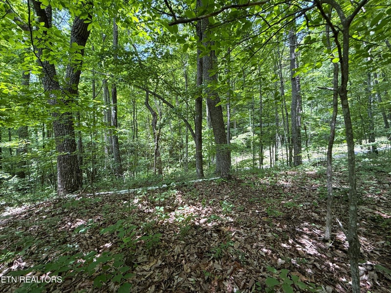 0 Swann Saddle Lot 10, Sevierville, TN 37876