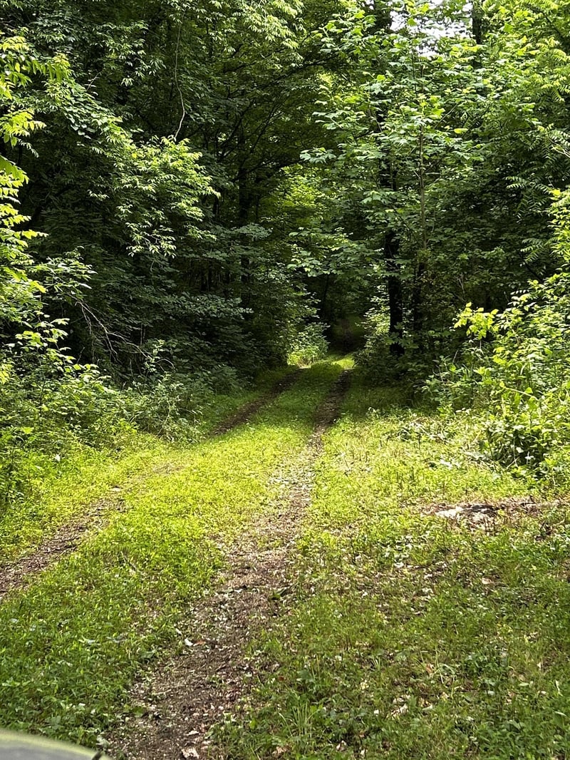 98 Hackett Valley Rd, Hickman, TN 38567