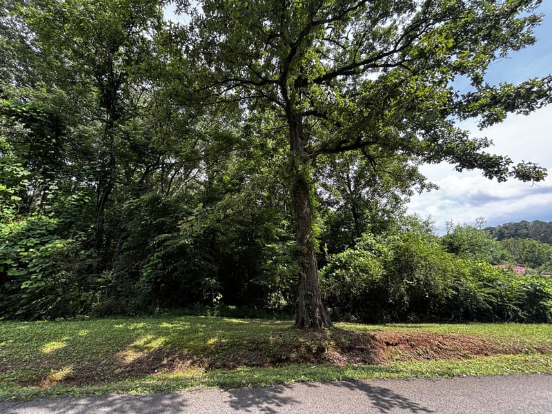 0 Kendall Ave, Bridgeport, AL 35740