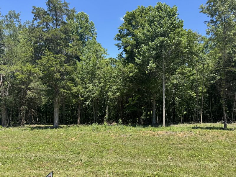 0 Nancy Shawl Lot 1, Dickson, TN 37055