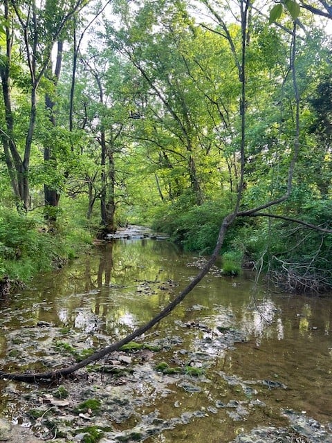 698 Clearview Rd Lot 54.01, Cottontown, TN 37048