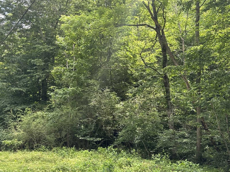 2812 Union Hill Rd, Joelton, TN 37080