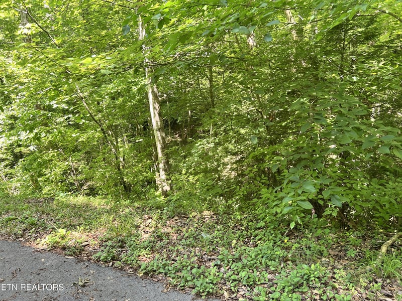 0 Fir Dr Lot 110, Sevierville, TN 37876