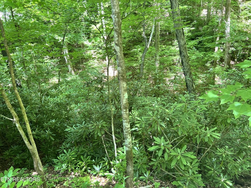 0 Fir Dr Lot 110, Sevierville, TN 37876