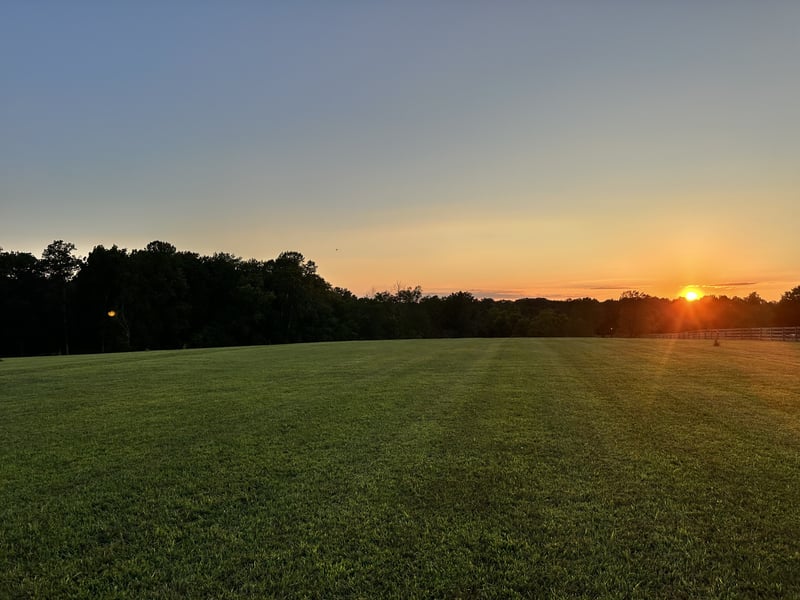 7509 Pinewood Rd Lot 1, Primm Springs, TN 38476