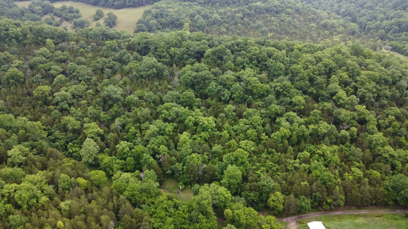 32 Patterson Ln, Pleasant Shade, TN 37145