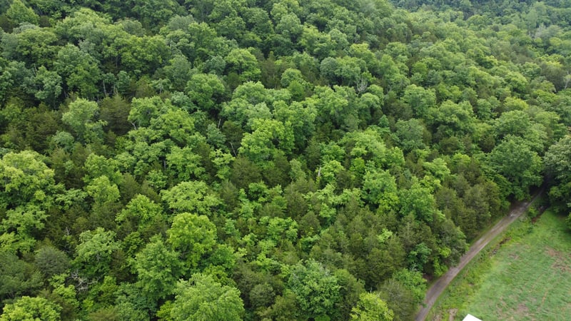 32 Patterson Ln, Pleasant Shade, TN 37145