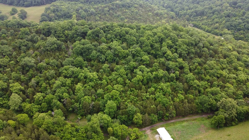 32 Patterson Ln, Pleasant Shade, TN 37145