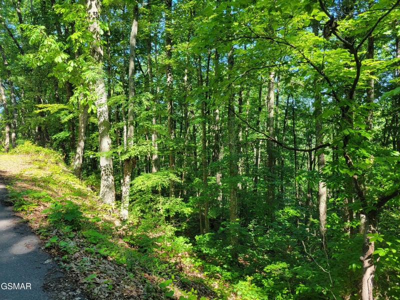 20 Sunset Dr Lot 20, Sevierville, TN 37876
