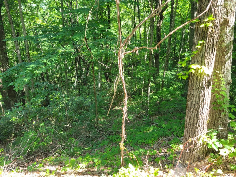 20 Sunset Dr Lot 20, Sevierville, TN 37876