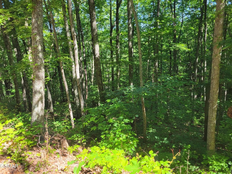 20 Sunset Dr Lot 20, Sevierville, TN 37876