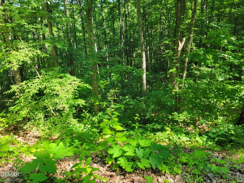 20 Sunset Dr Lot 20, Sevierville, TN 37876