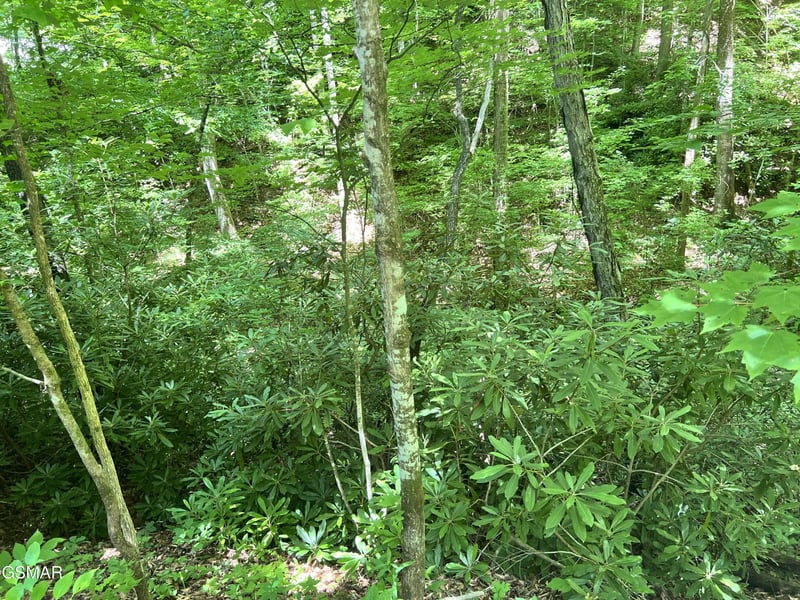 110 Fir Dr Lot 110, Sevierville, TN 37876