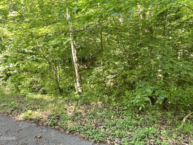 110 Fir Dr Lot 110, Sevierville, TN 37876