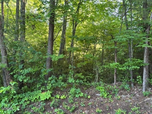 1461 Ridgehigh Ps Lot 1461A, Sevierville, TN 37876