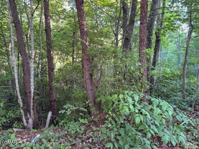 1461 Ridgehigh Ps Lot 1461A, Sevierville, TN 37876