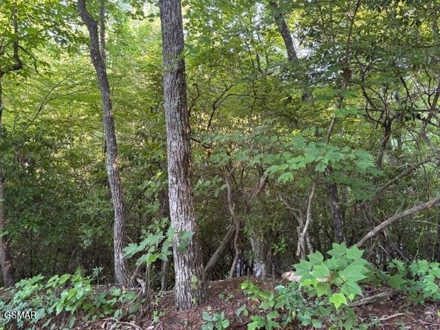 1461 Ridgehigh Ps Lot 1461A, Sevierville, TN 37876