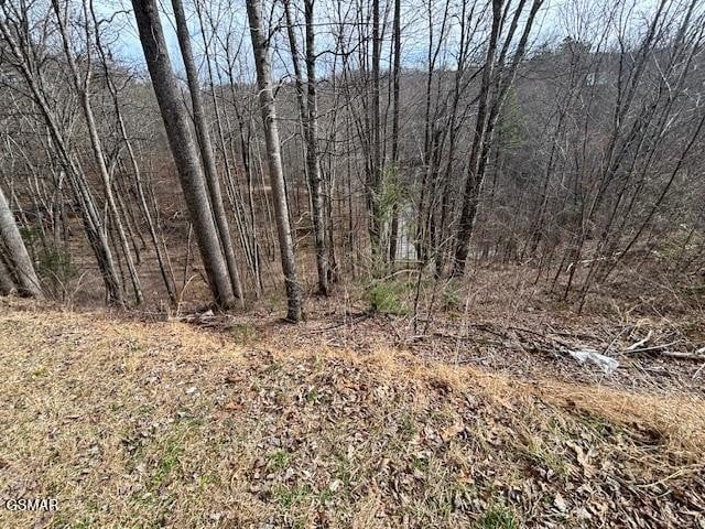 444 Sky Vw Lot 444AND445, Sevierville, TN 37876