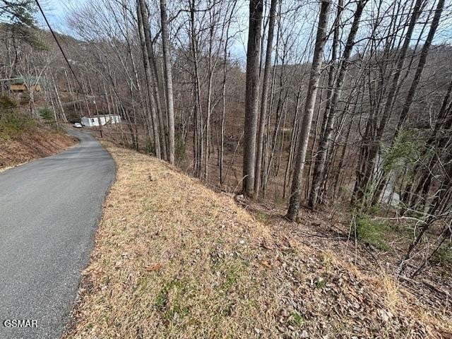 444 Sky Vw Lot 444AND445, Sevierville, TN 37876
