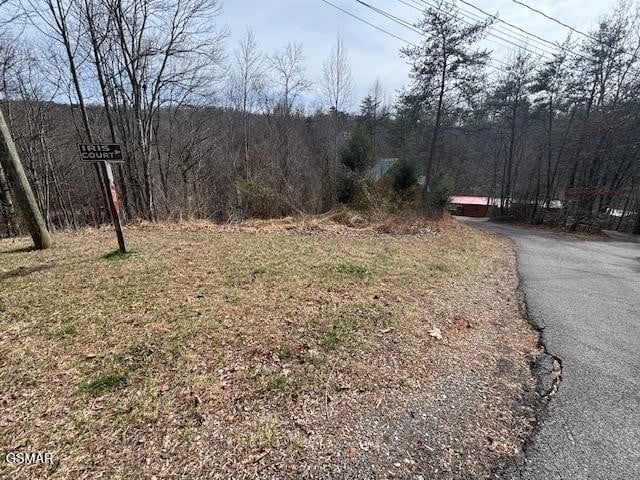 444 Sky Vw Lot 444AND445, Sevierville, TN 37876