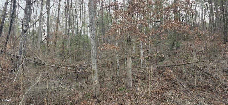 3276 Emerald Springs Loop Lot 8, Sevierville, TN 37862
