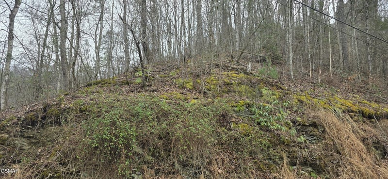 6 Wildcat Ridge Rd Lot 0006, Sevierville, TN 37862