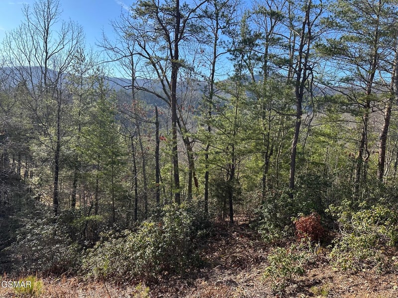 1306 Morning Dove Way Lot 32, Sevierville, TN 37862