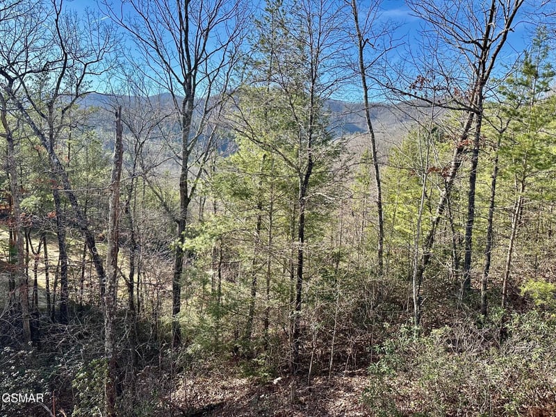 1306 Morning Dove Way Lot 32, Sevierville, TN 37862