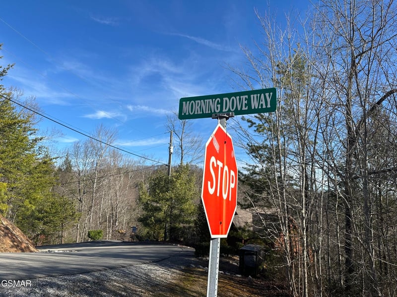 1306 Morning Dove Way Lot 32, Sevierville, TN 37862