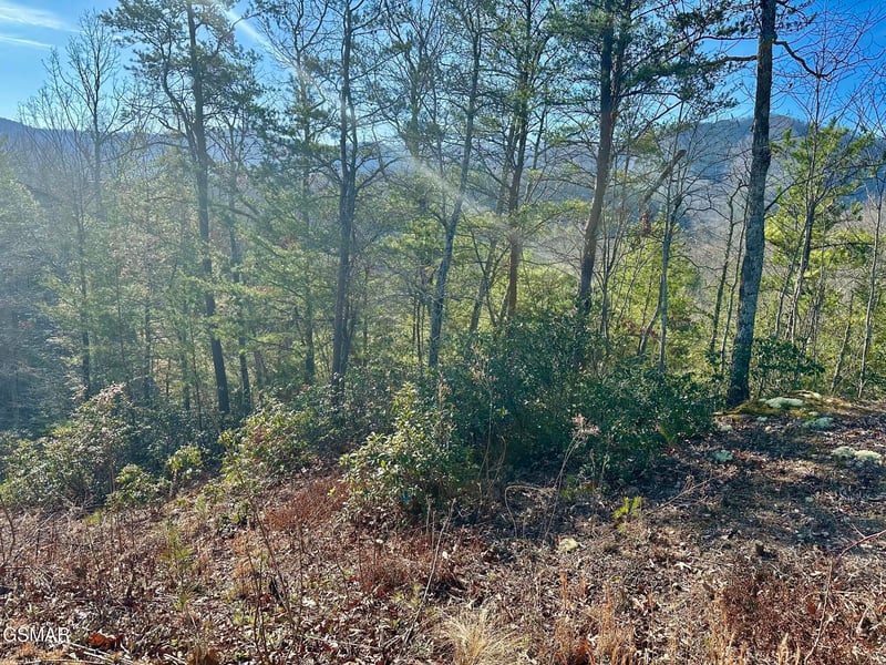 1306 Morning Dove Way Lot 32, Sevierville, TN 37862