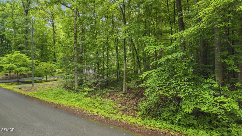 0 Peach Tree St Lot 47, Sevierville, TN 37862