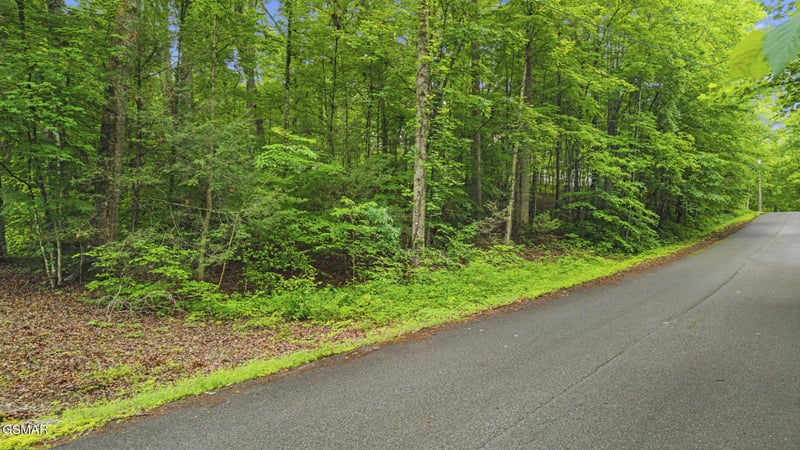 0 Peach Tree St Lot 47, Sevierville, TN 37862
