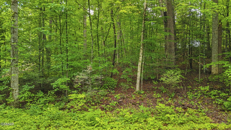 0 Peach Tree St Lot 47, Sevierville, TN 37862