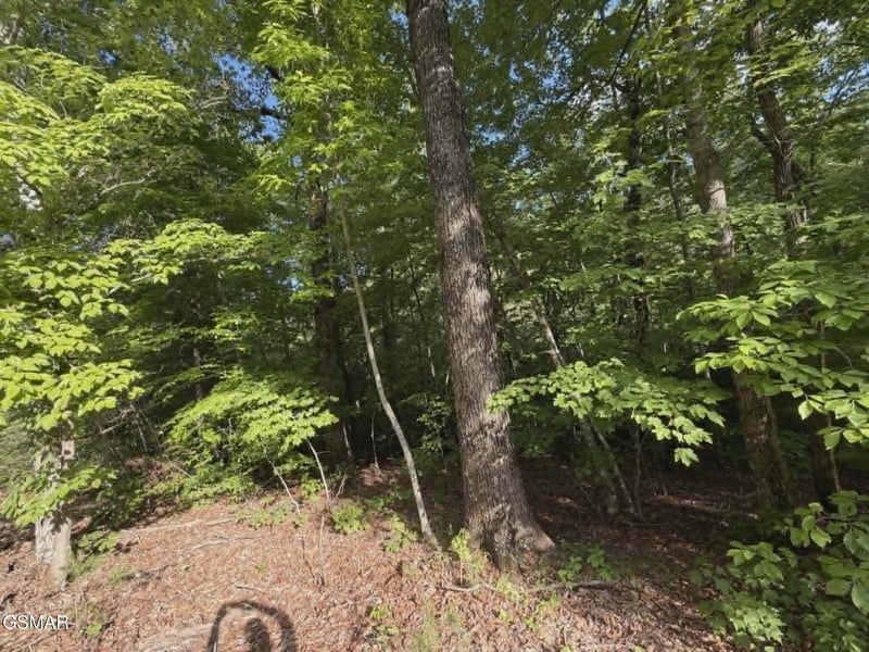202122 Fox Hunters Ln Lot 20, Sevierville, TN 37876