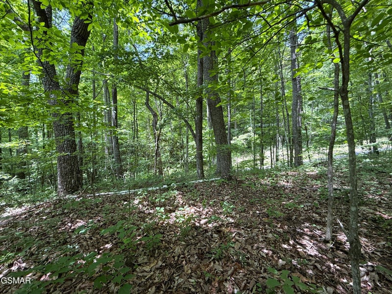 10 Swan Saddle Lot 10, Sevierville, TN 37876
