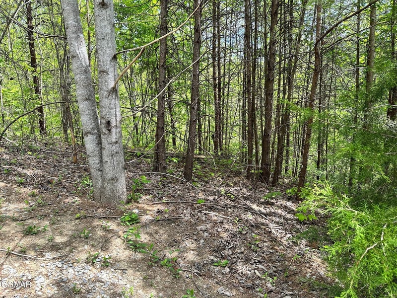 1430 Mountain Dreams Way Lot 9, Sevierville, TN 37862