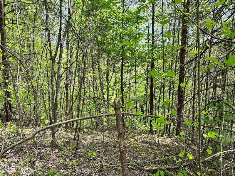 1430 Mountain Dreams Way Lot 9, Sevierville, TN 37862