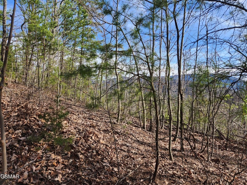 46 Feld Wynde Close Way Lot 46, Sevierville, TN 37862