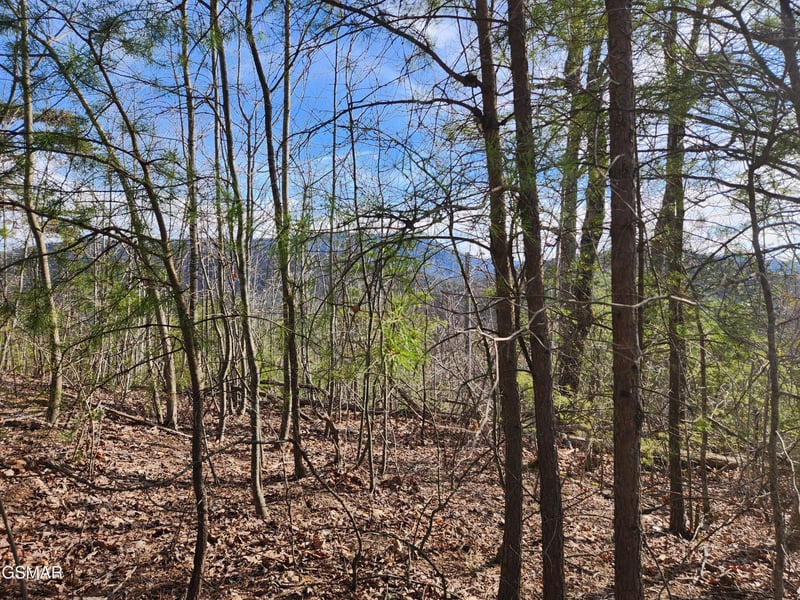 46 Feld Wynde Close Way Lot 46, Sevierville, TN 37862